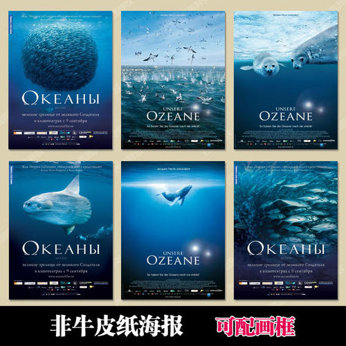 荆州高中毕业证图片